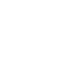 Adoption