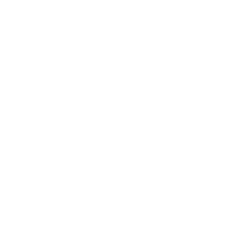 Debt Recovery