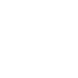 Letter of Administration
